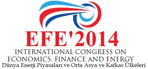 EFE'2014 Congress Web Site